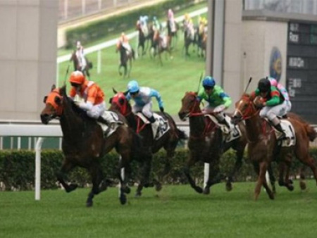 影像回放及仲裁系統(tǒng)